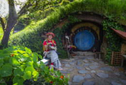 New Zealand 2025 (1 group) (39/66)